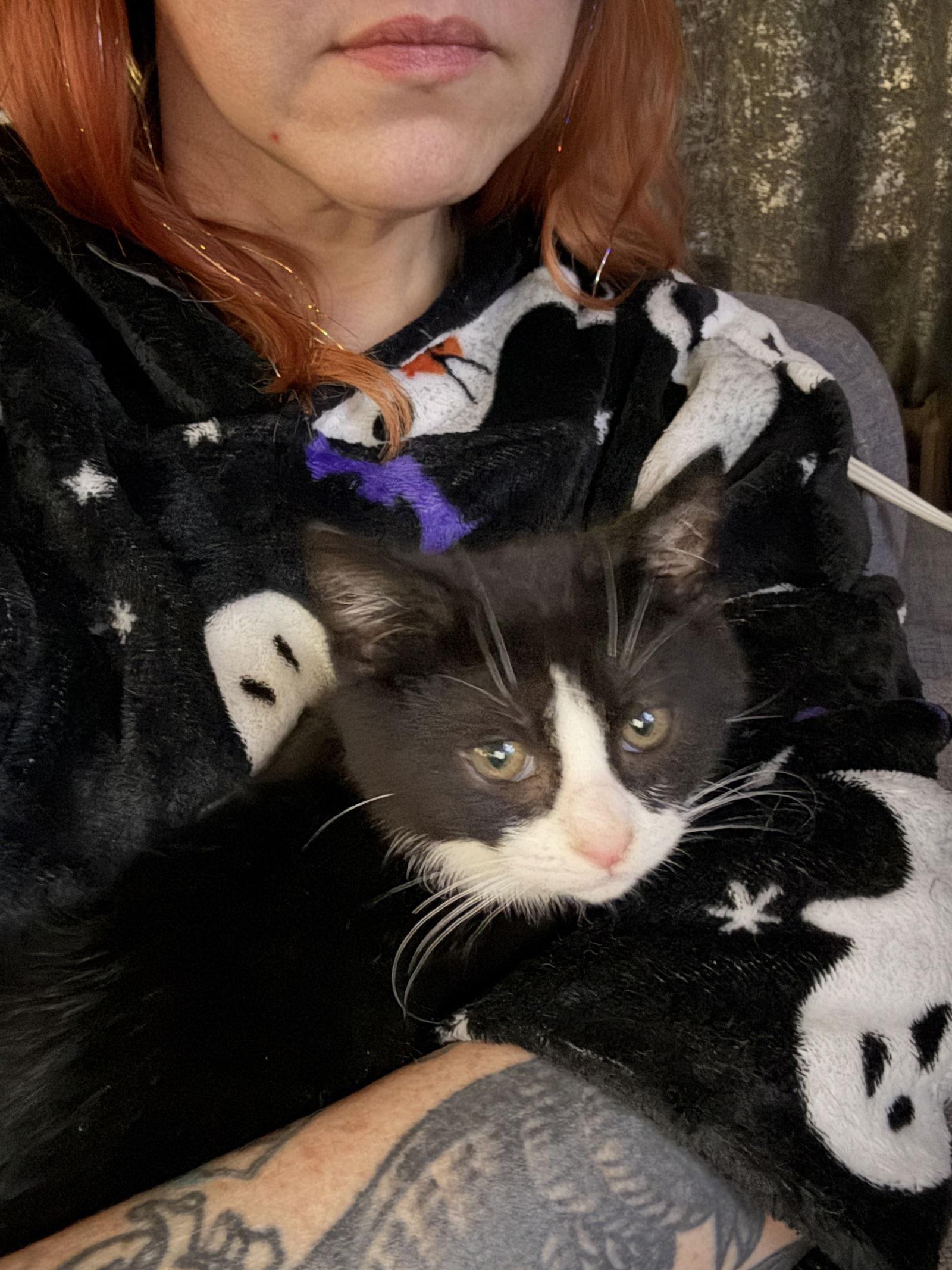 Bobby Clark thumbnail 3