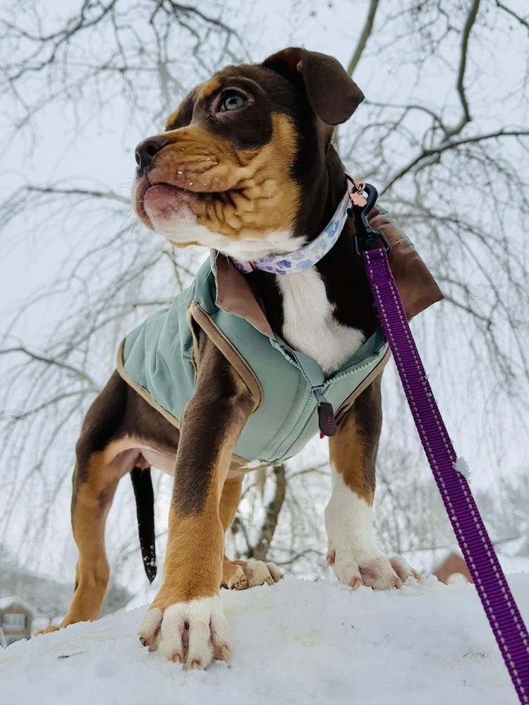 Pearl Hart thumbnail 6