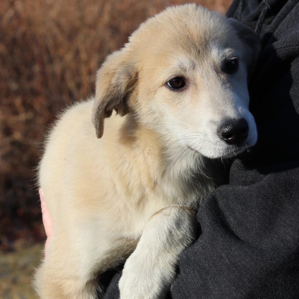 Ct Elaine thumbnail 2