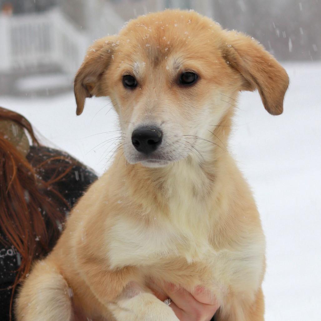 Ct Elaine thumbnail 4