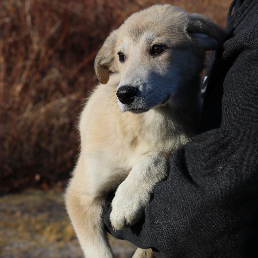 Ct Elaine thumbnail 6