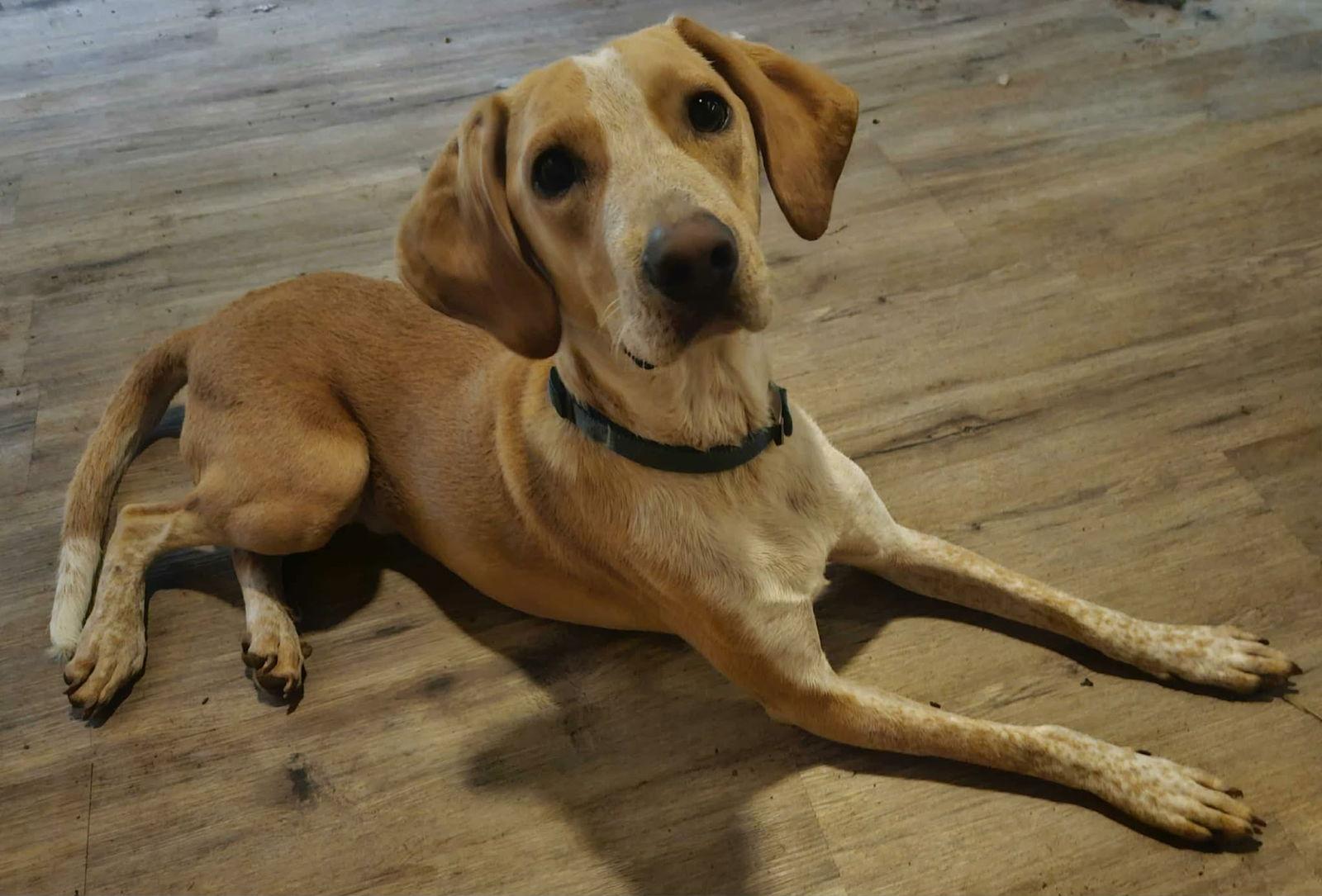 George Porgie thumbnail 2