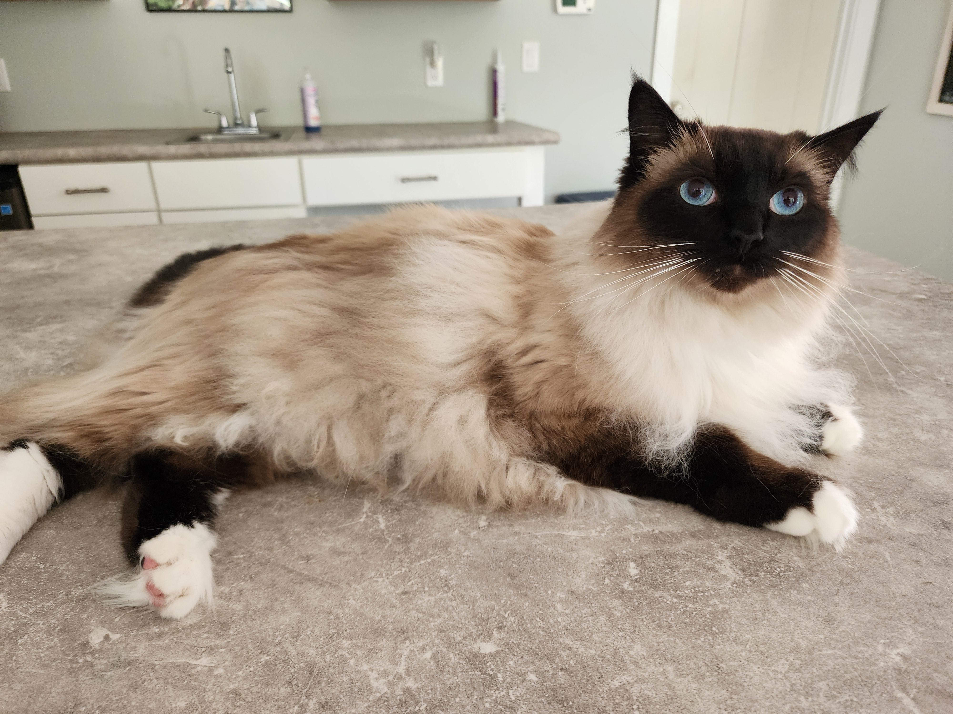 Mr. Snuggles thumbnail 3