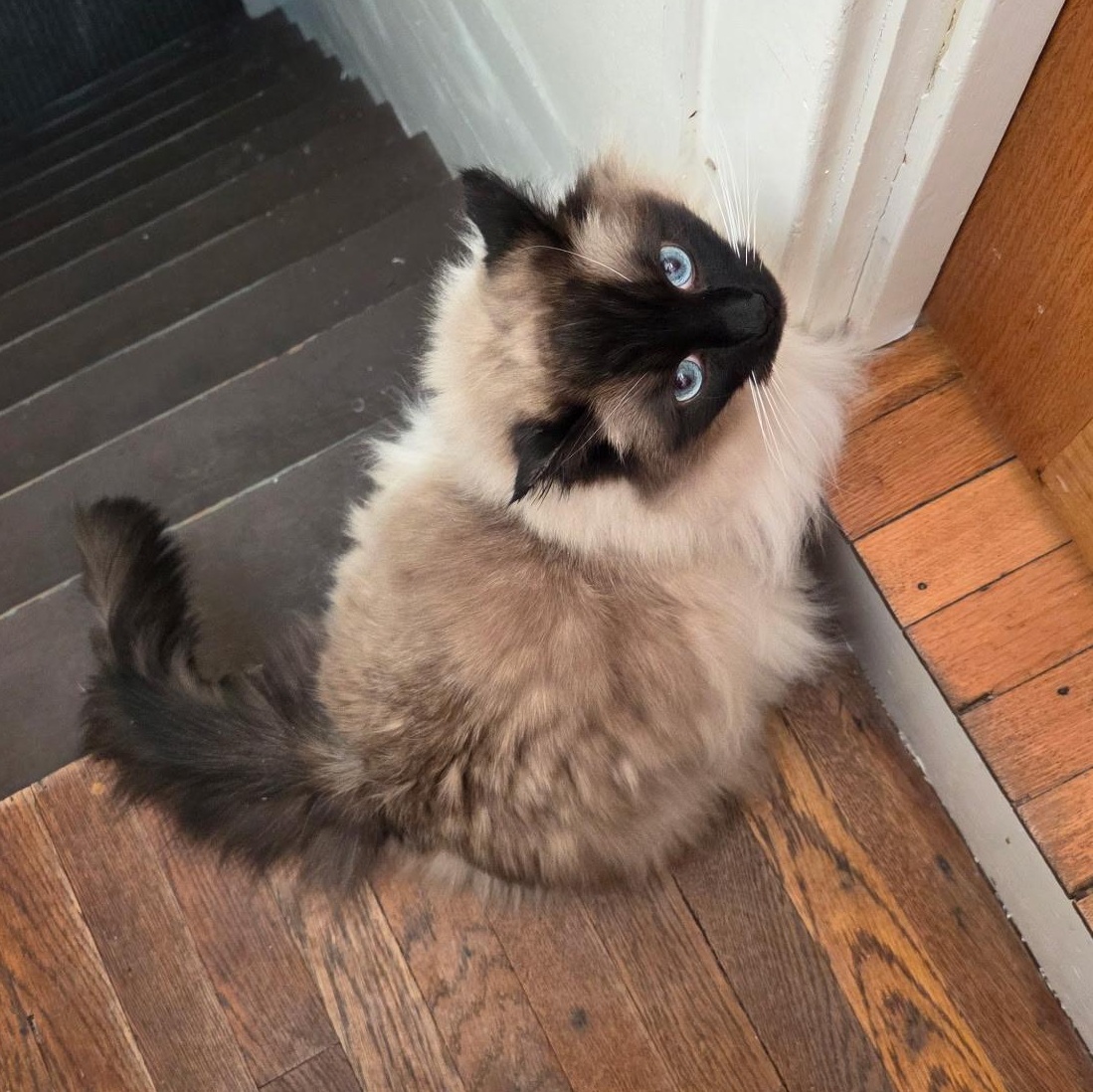 Mr. Snuggles thumbnail 5