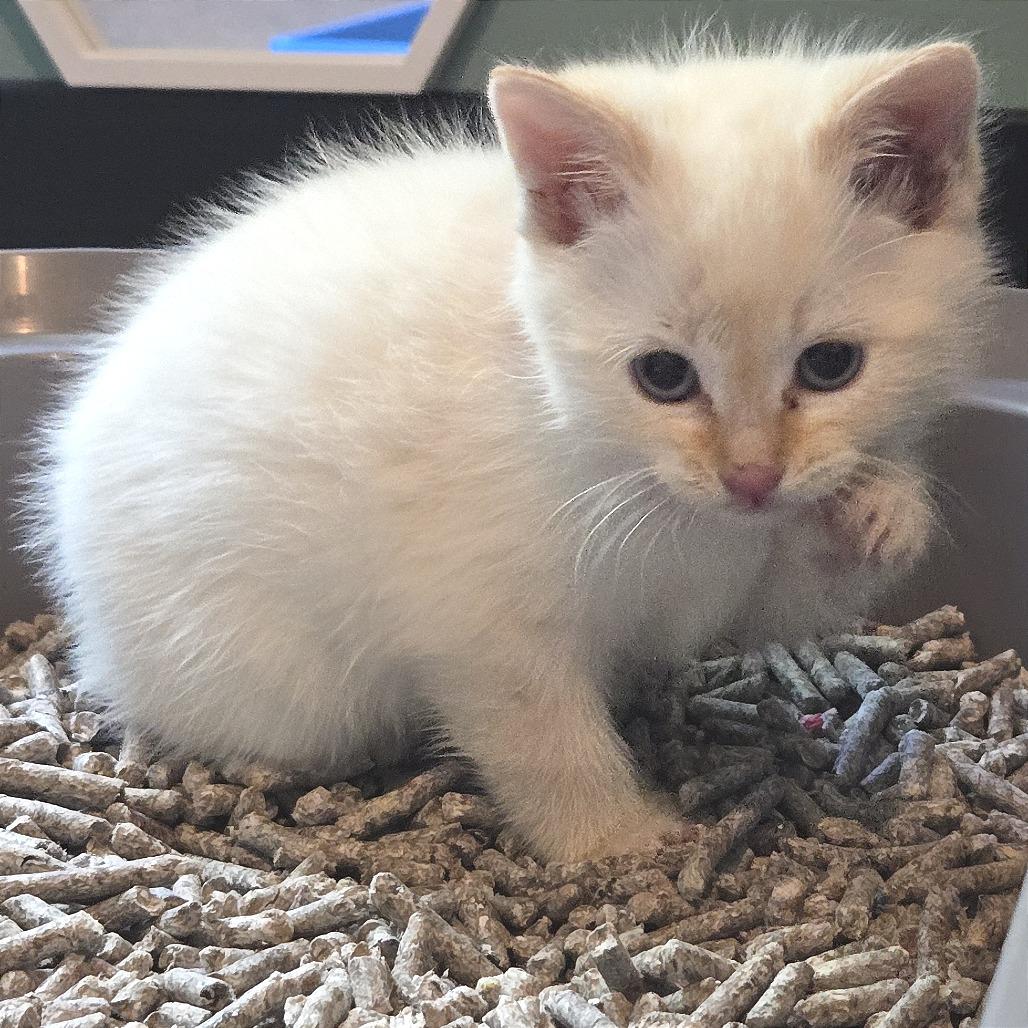 Goldwave thumbnail 3