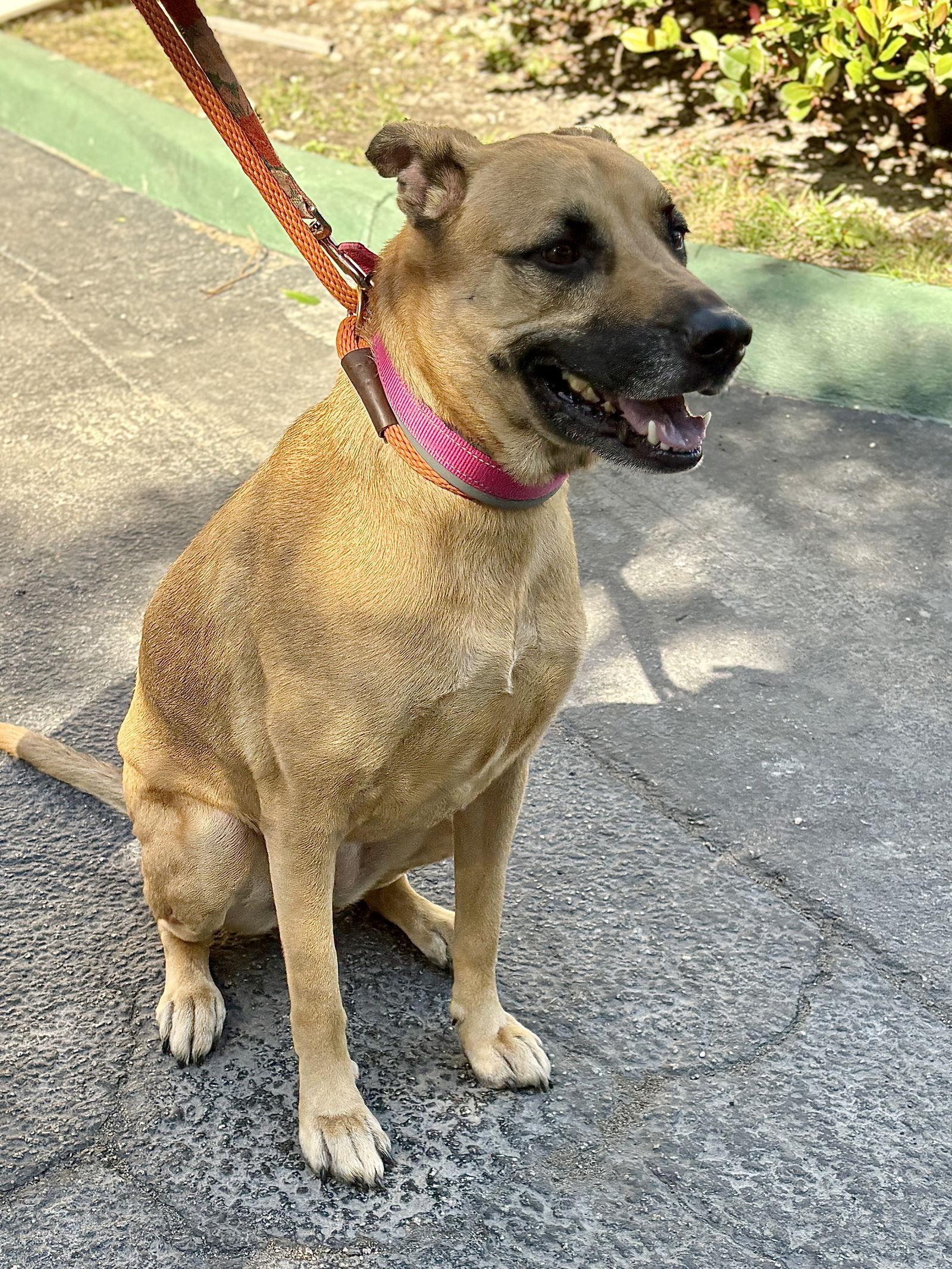 Gucci Aka Layla thumbnail 2