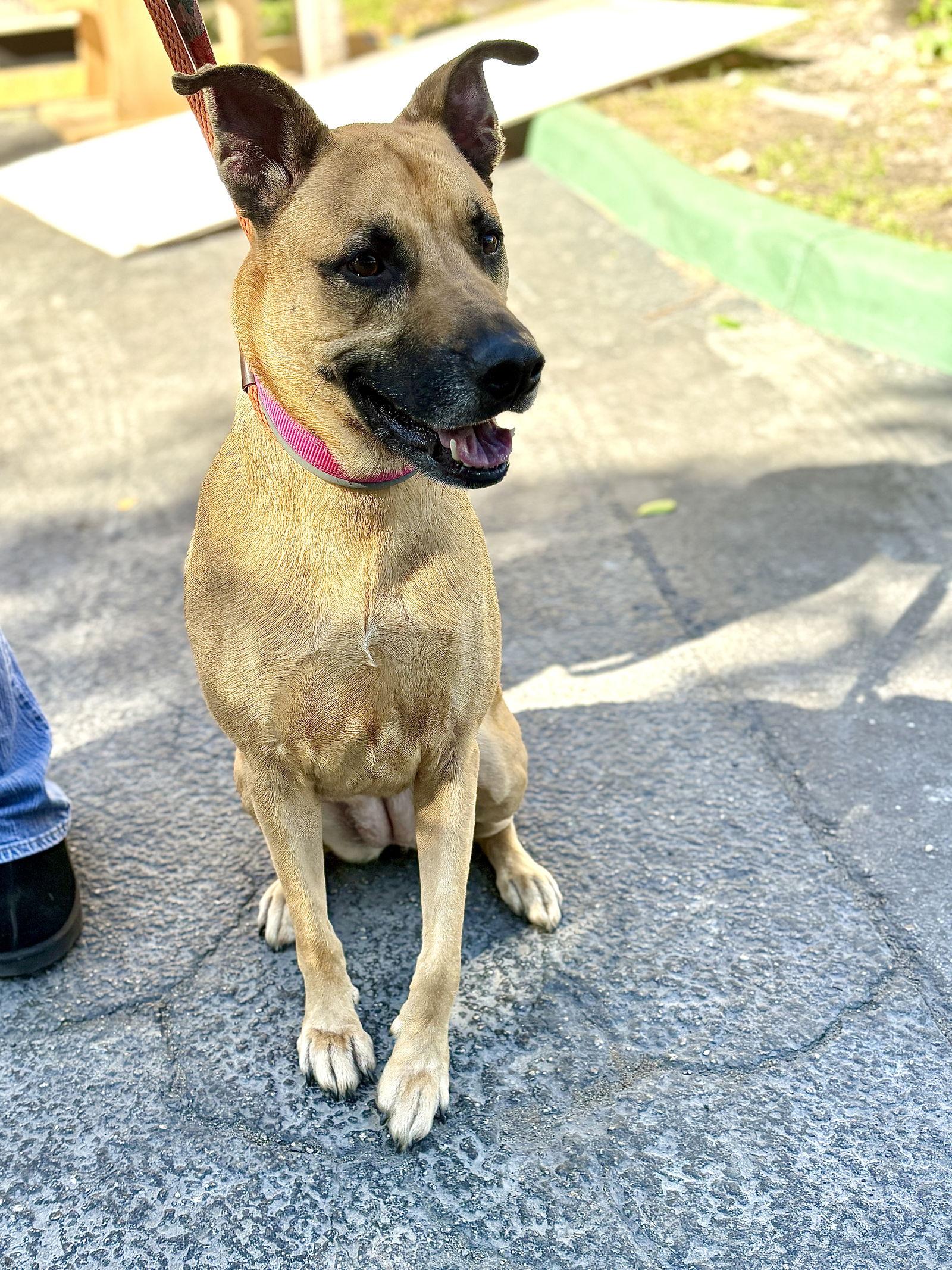 Gucci Aka Layla thumbnail 3