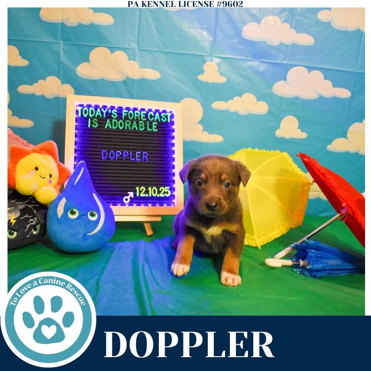 Doppler thumbnail 3