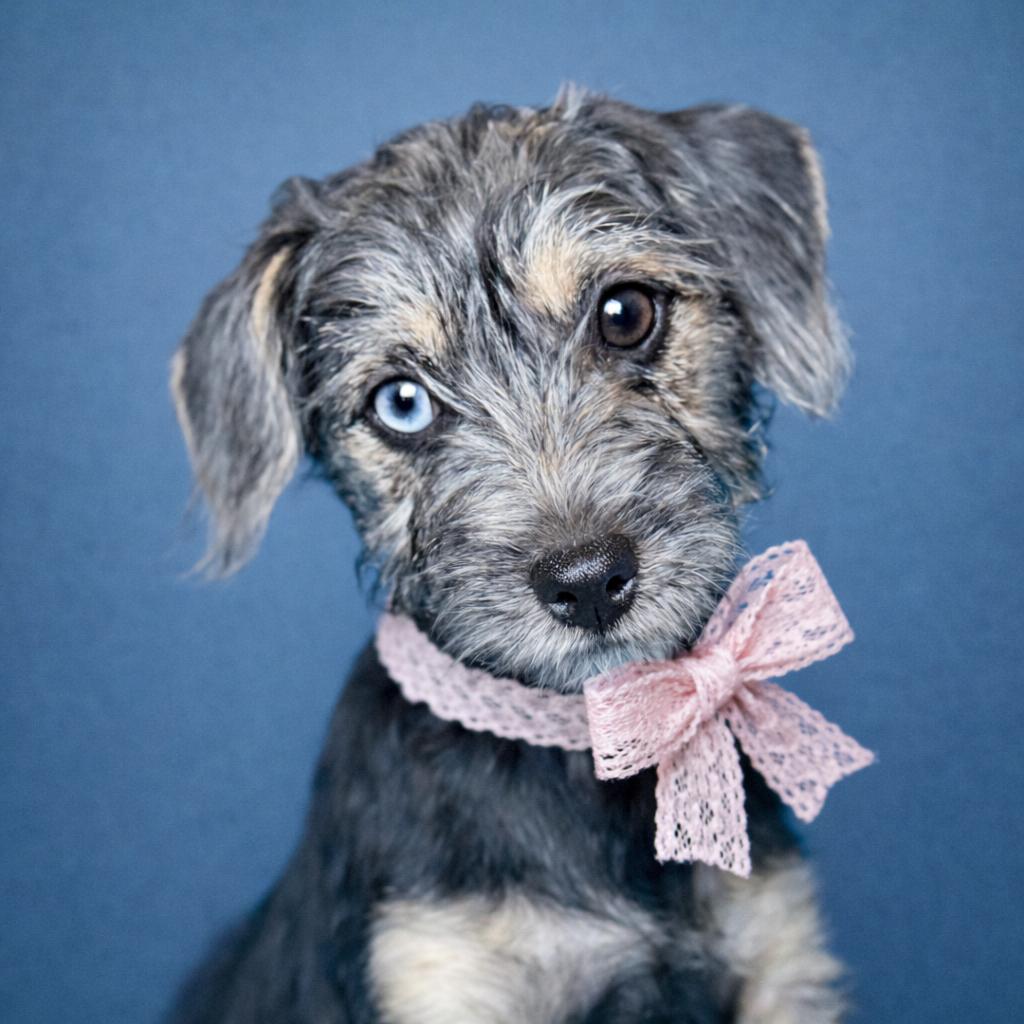 River: Blue Eye Beauty