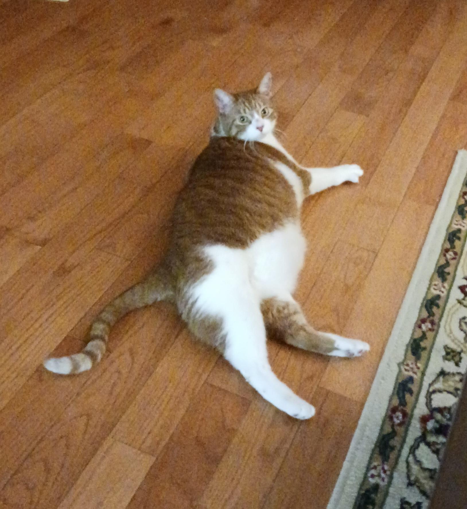 Toeny Soprano thumbnail 2