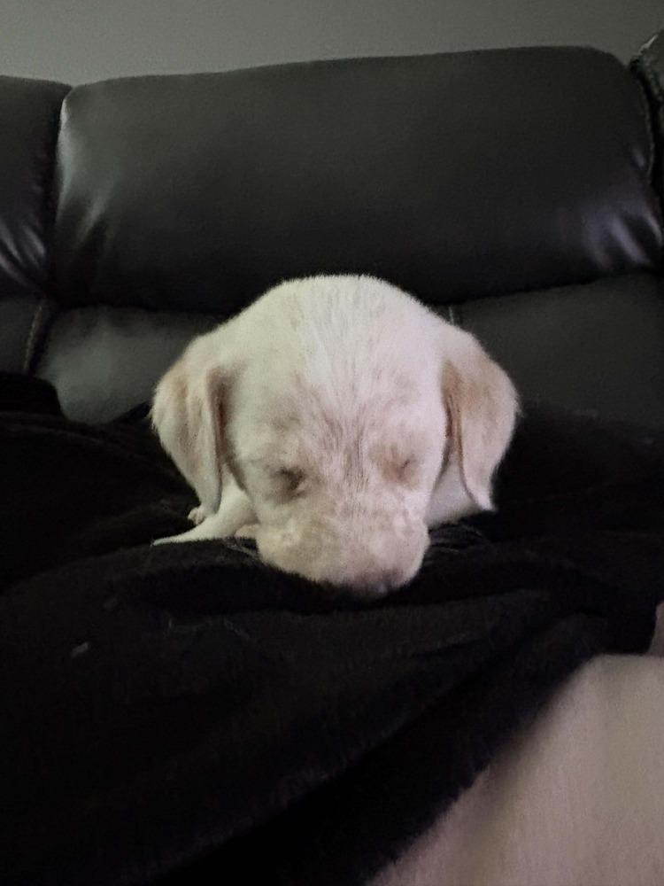 Baby Ava thumbnail 2