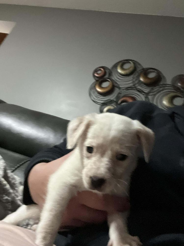 Baby Ava thumbnail 3