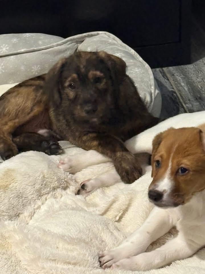 Noah Calhoun thumbnail 2