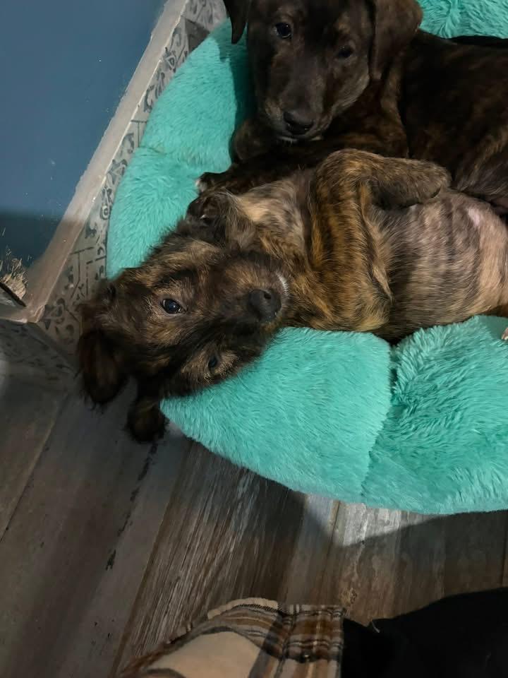 Noah Calhoun thumbnail 3