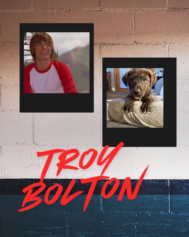 Troy Bolton