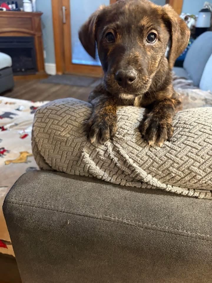 Troy Bolton thumbnail 2