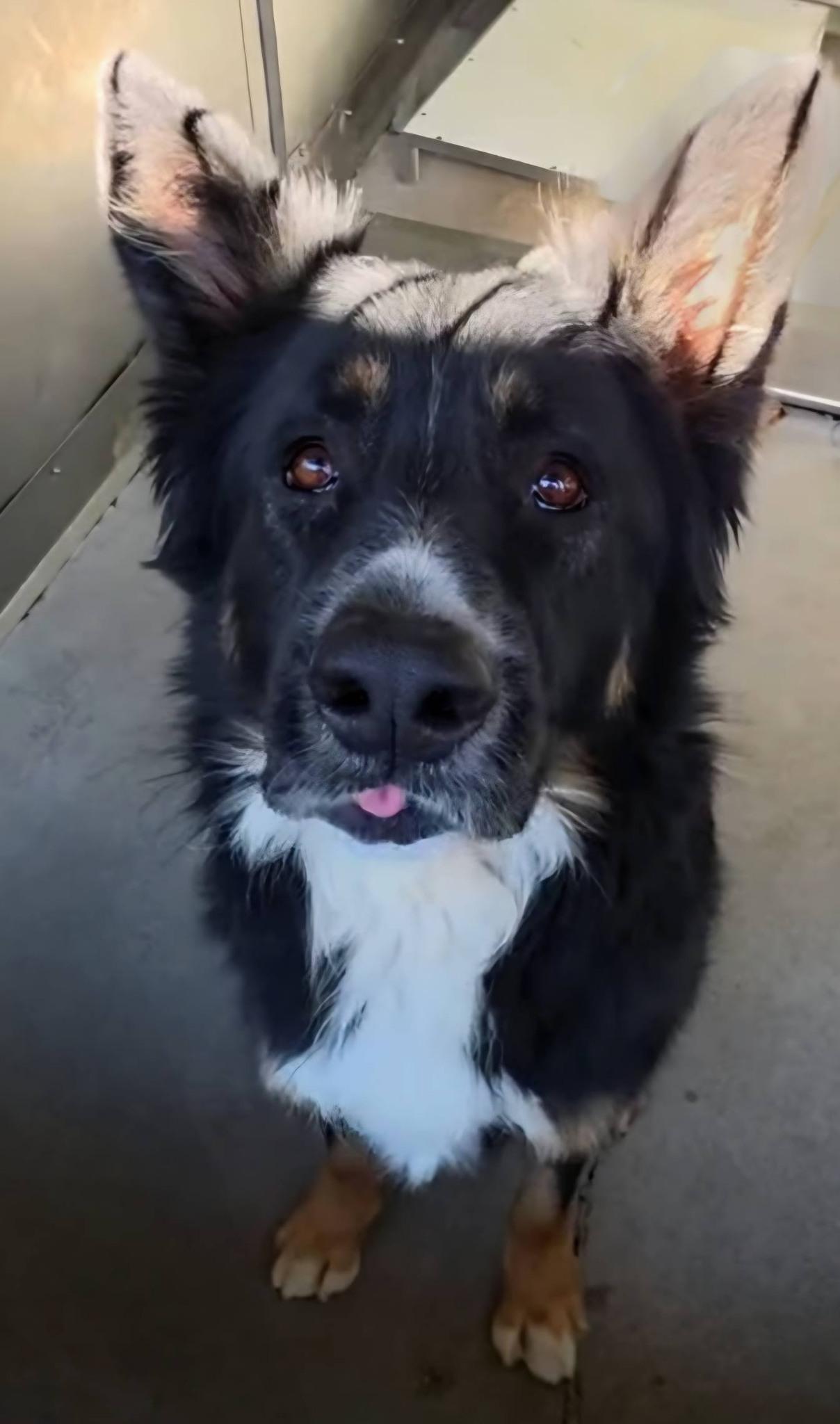 Tubby Now Charlie thumbnail 3