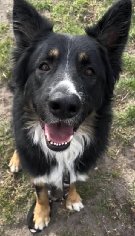 Tubby Now Charlie thumbnail 4