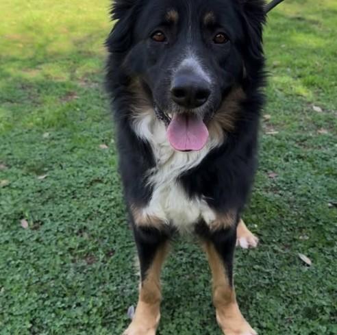 Tubby Now Charlie thumbnail 5