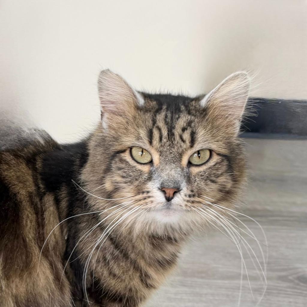 Jack Frost thumbnail 2