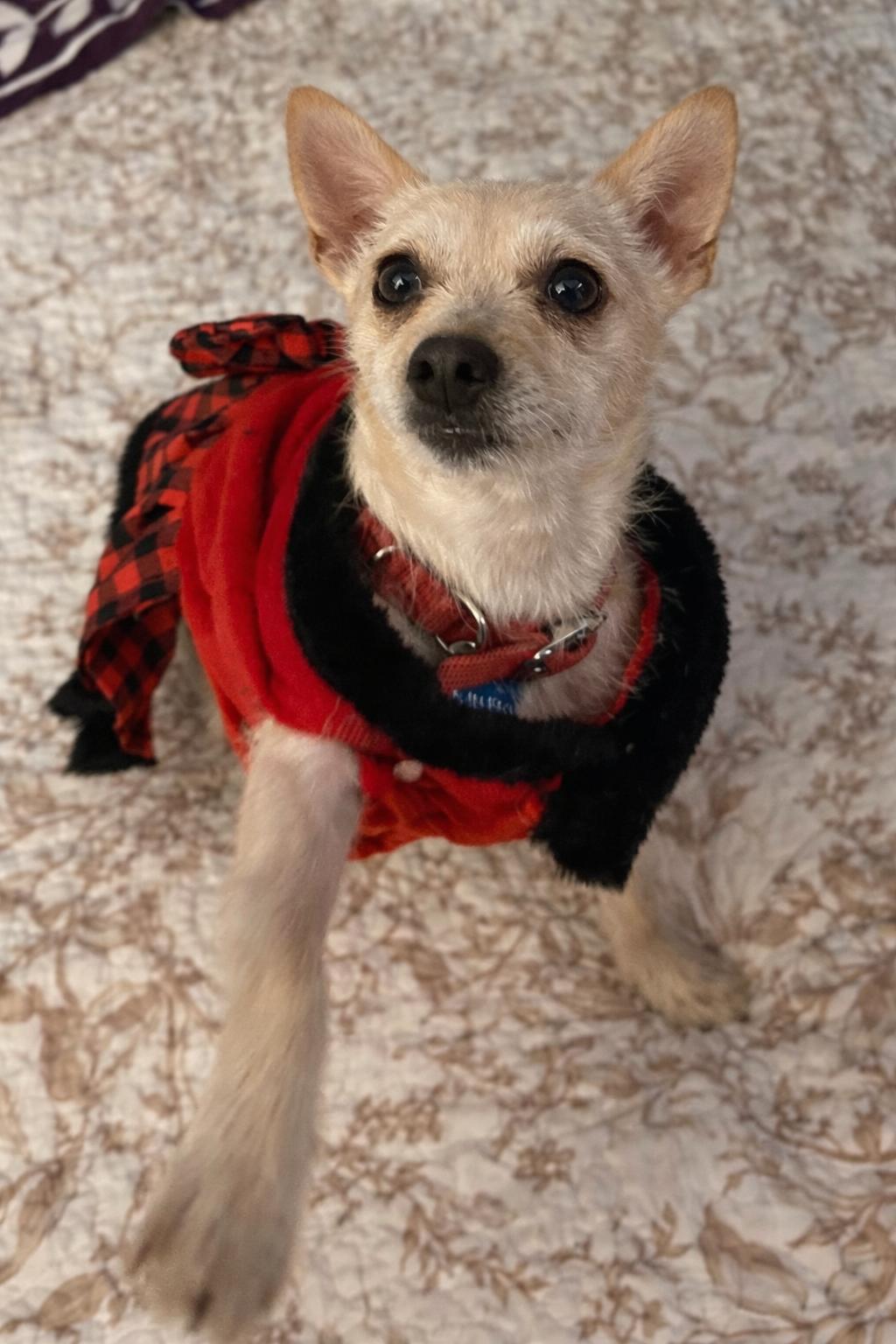 Mama Star thumbnail 5