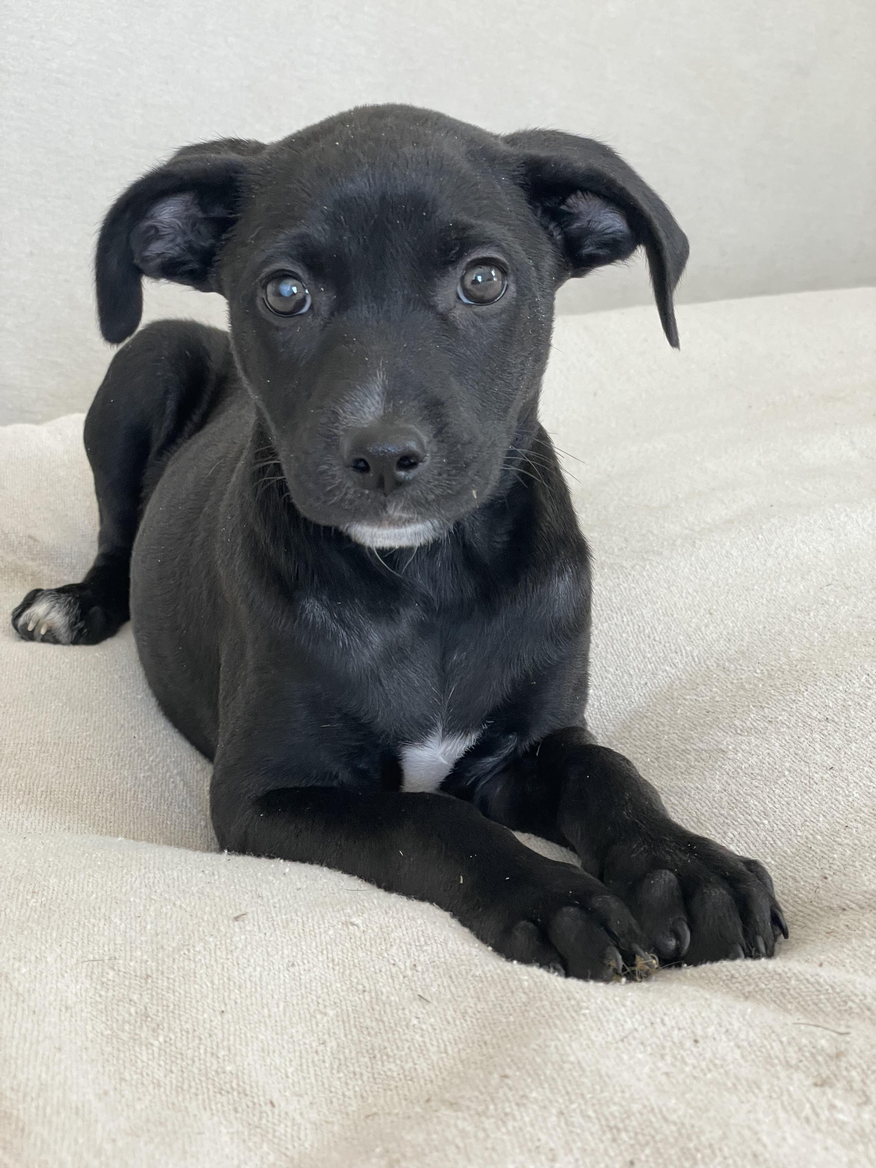 Sweet Seville thumbnail 2