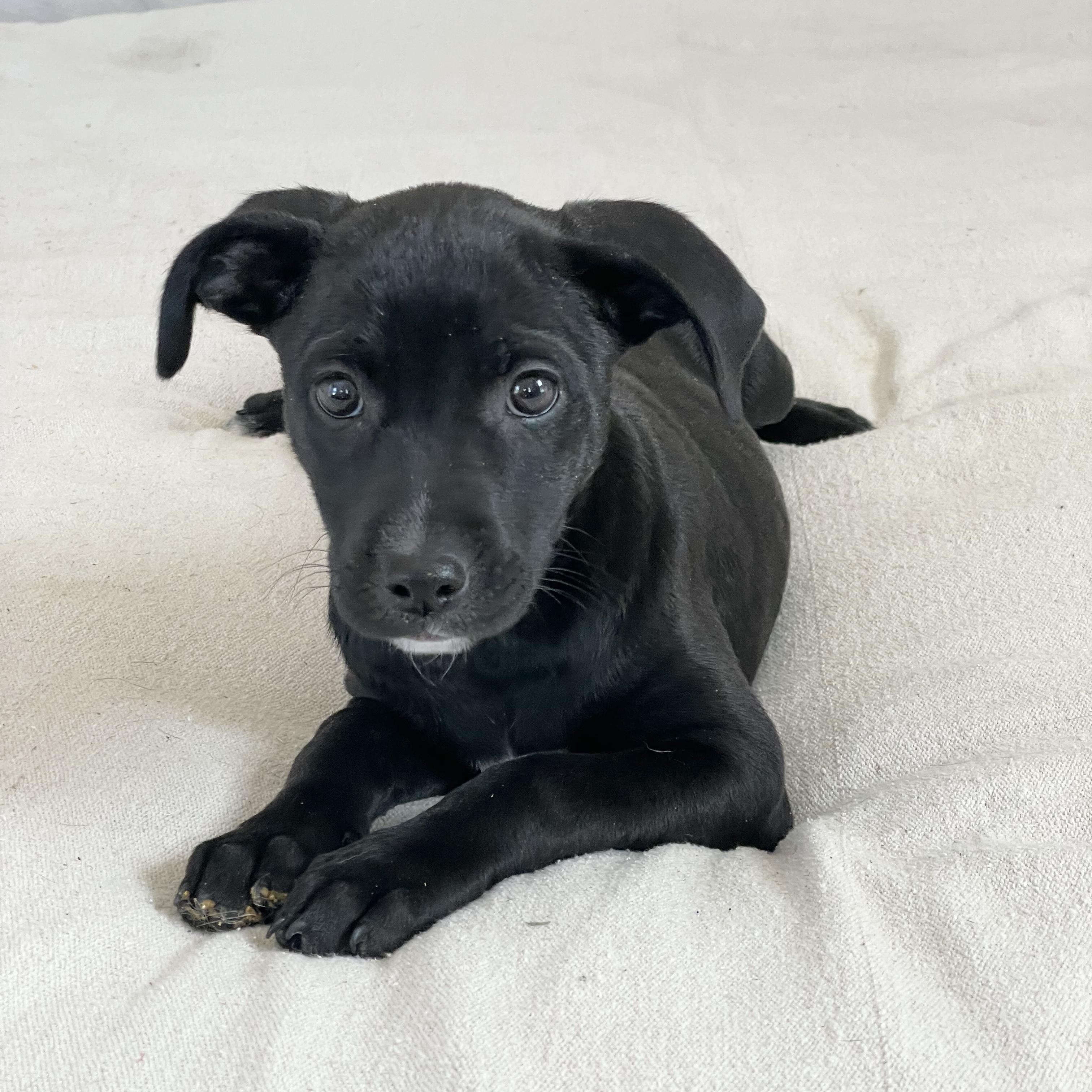 Sweet Seville thumbnail 3