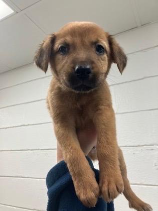 Hillshire thumbnail 2