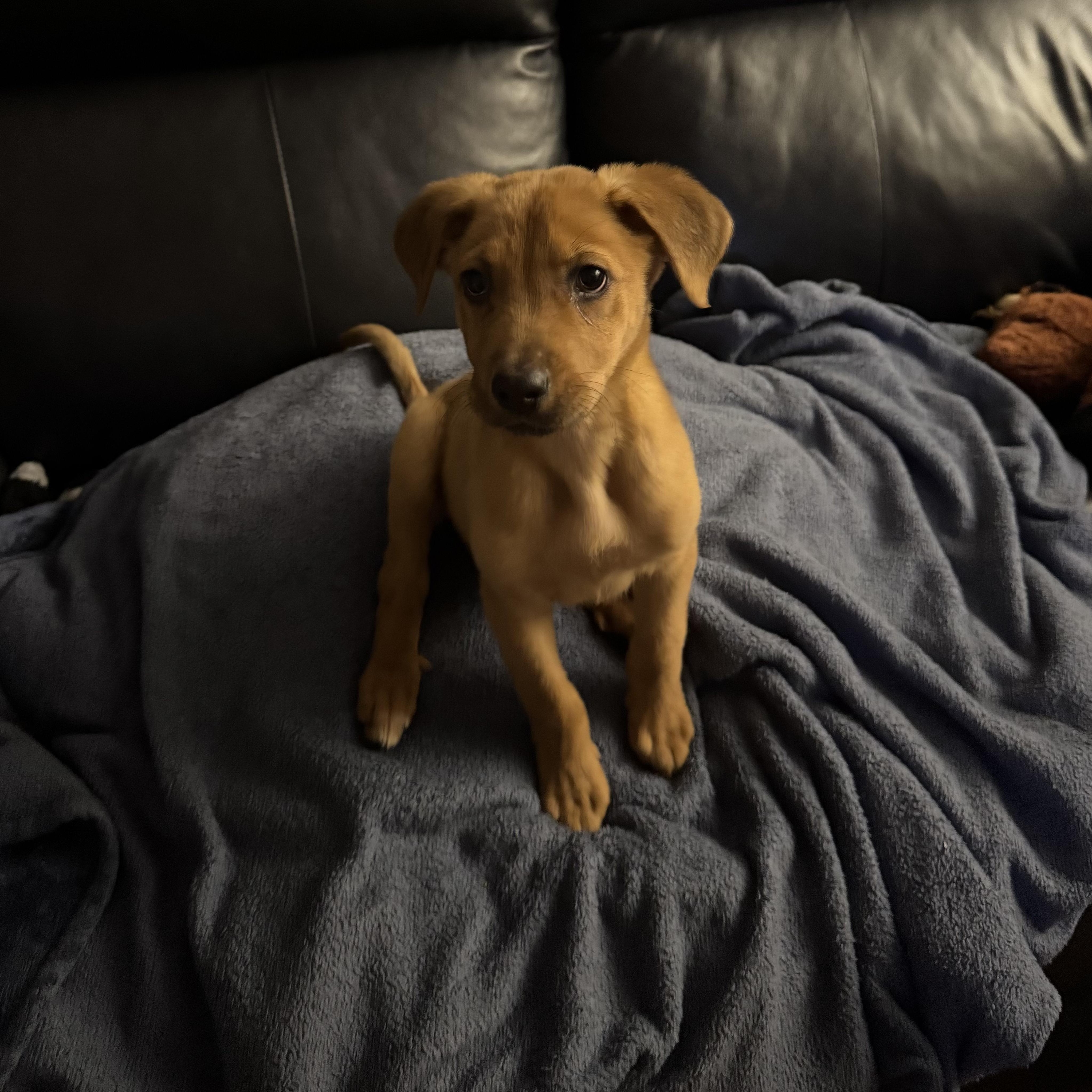 Hillshire thumbnail 3