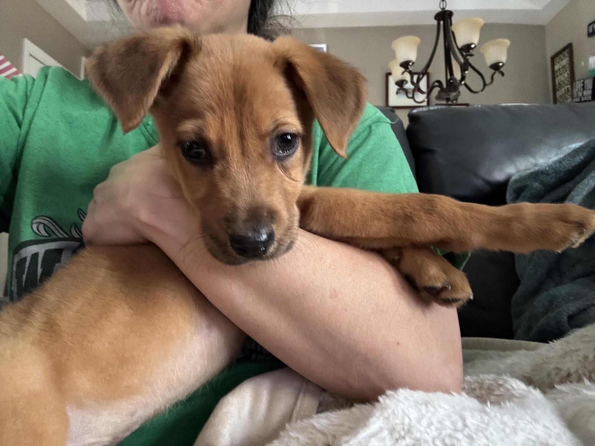 Hillshire thumbnail 4