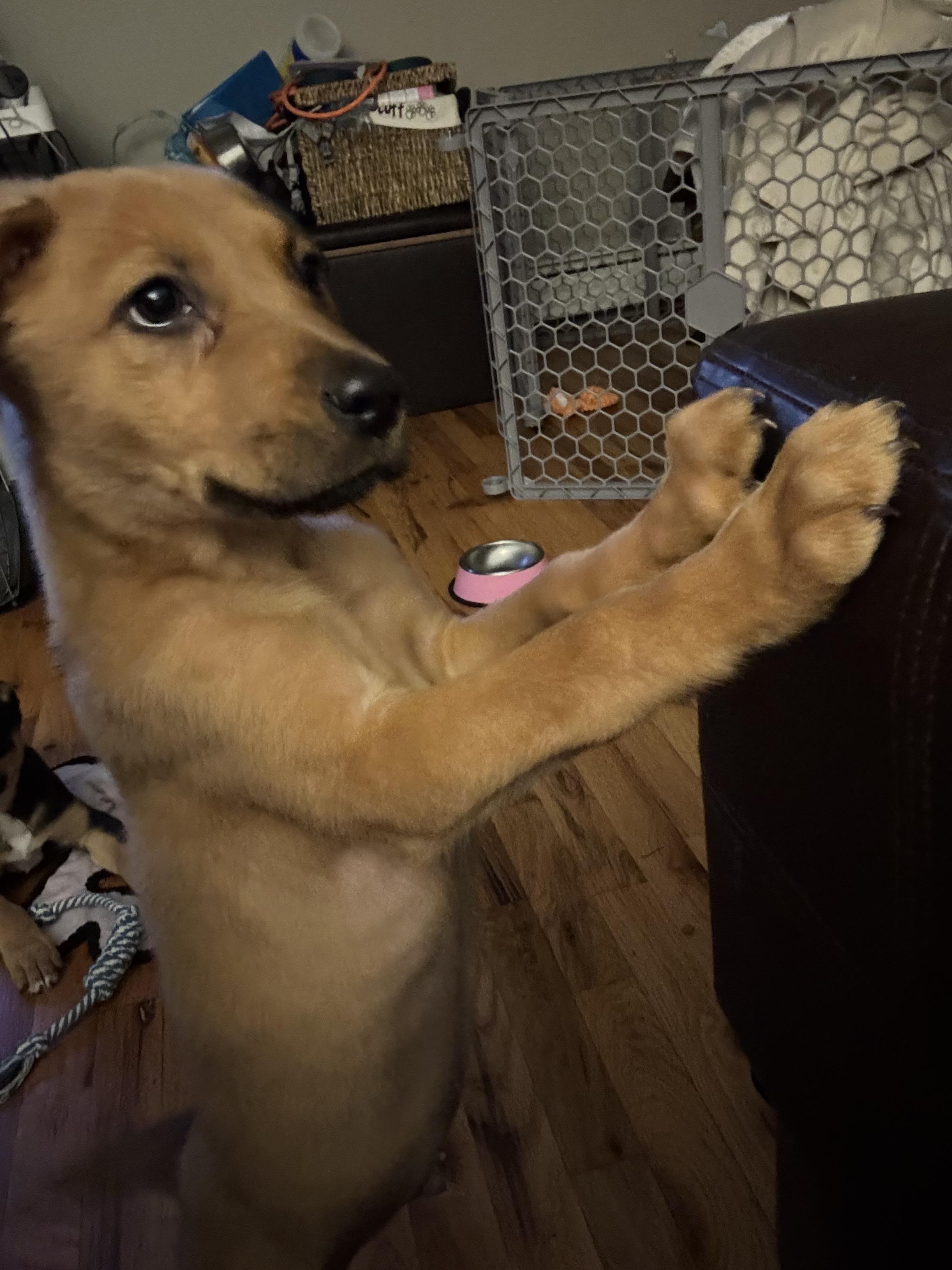 Hillshire thumbnail 5