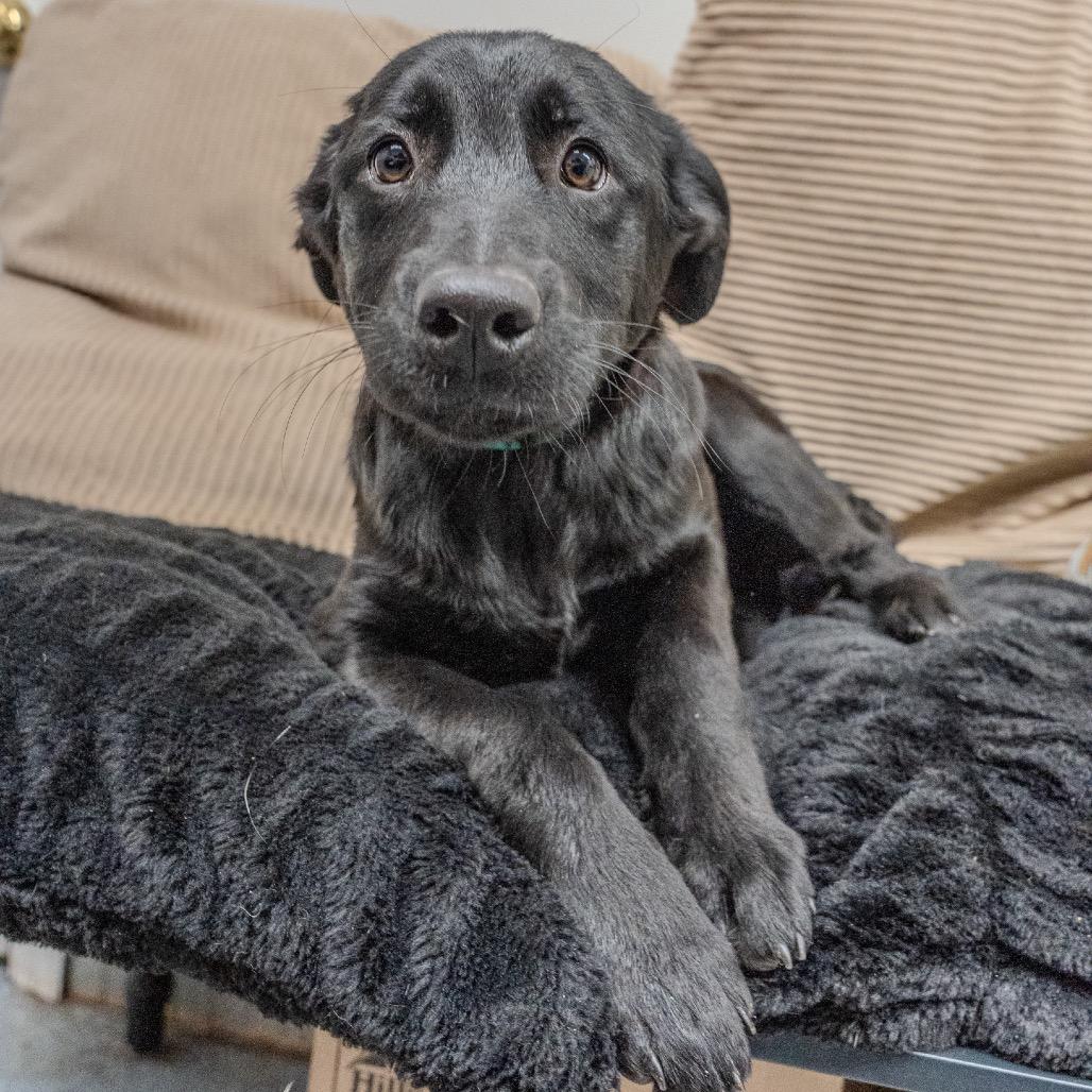 Clementine thumbnail 4