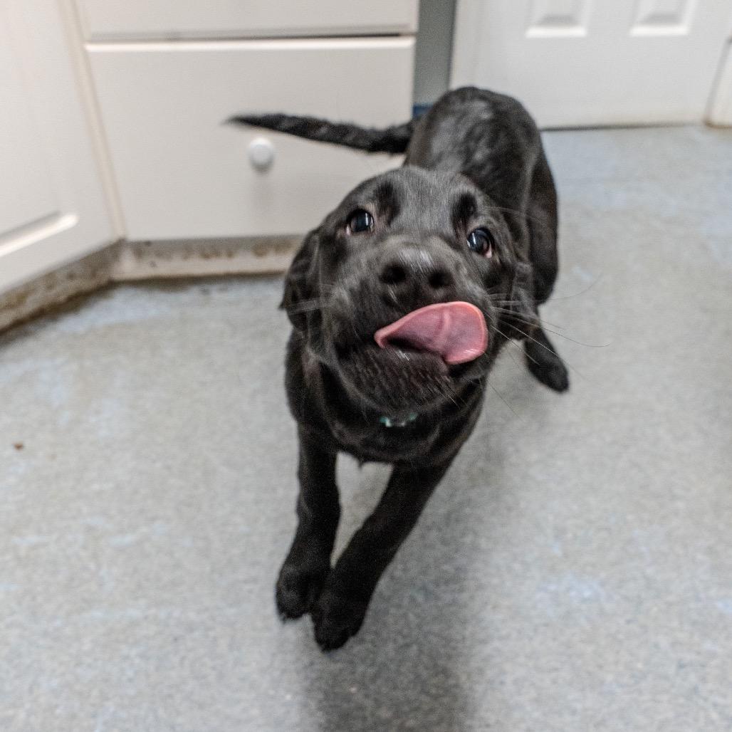 Clementine thumbnail 6