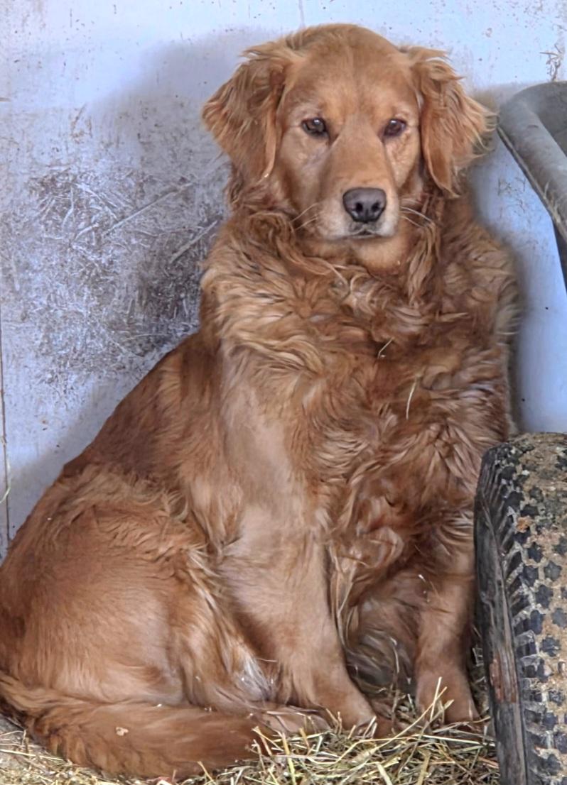 Charlotte thumbnail 2