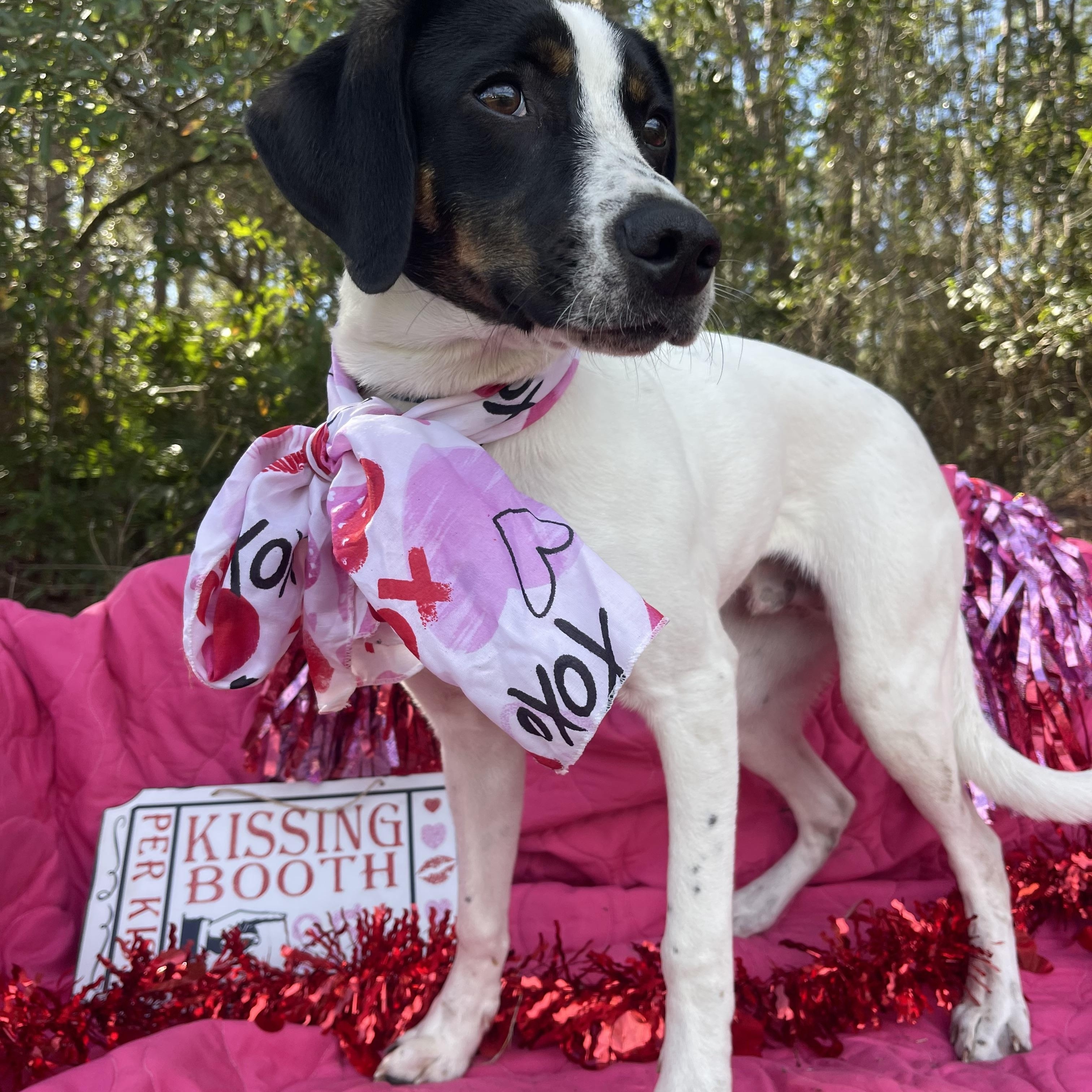 Beethoven thumbnail 3