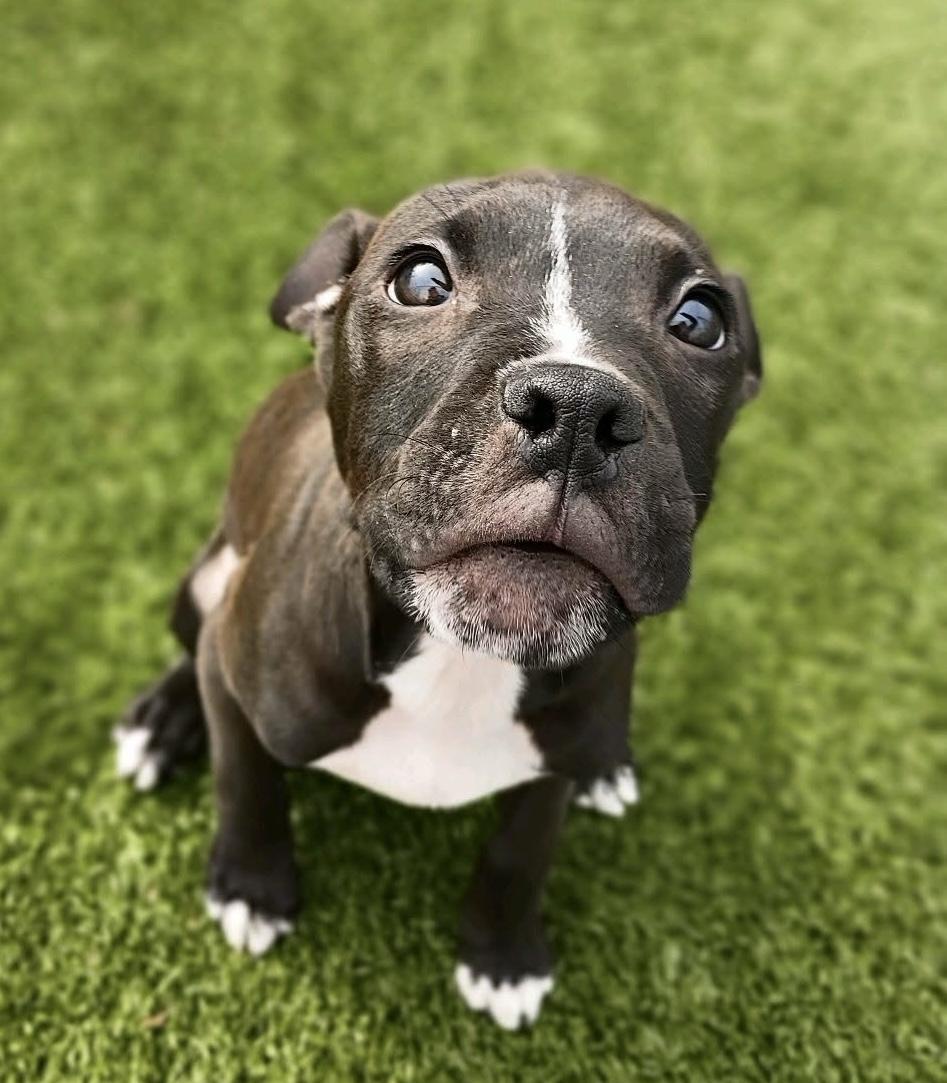 Lucy Lou thumbnail 3