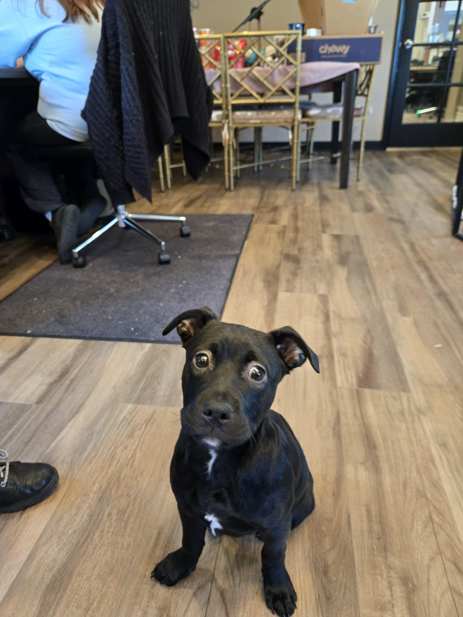 Eileen Toad thumbnail 3