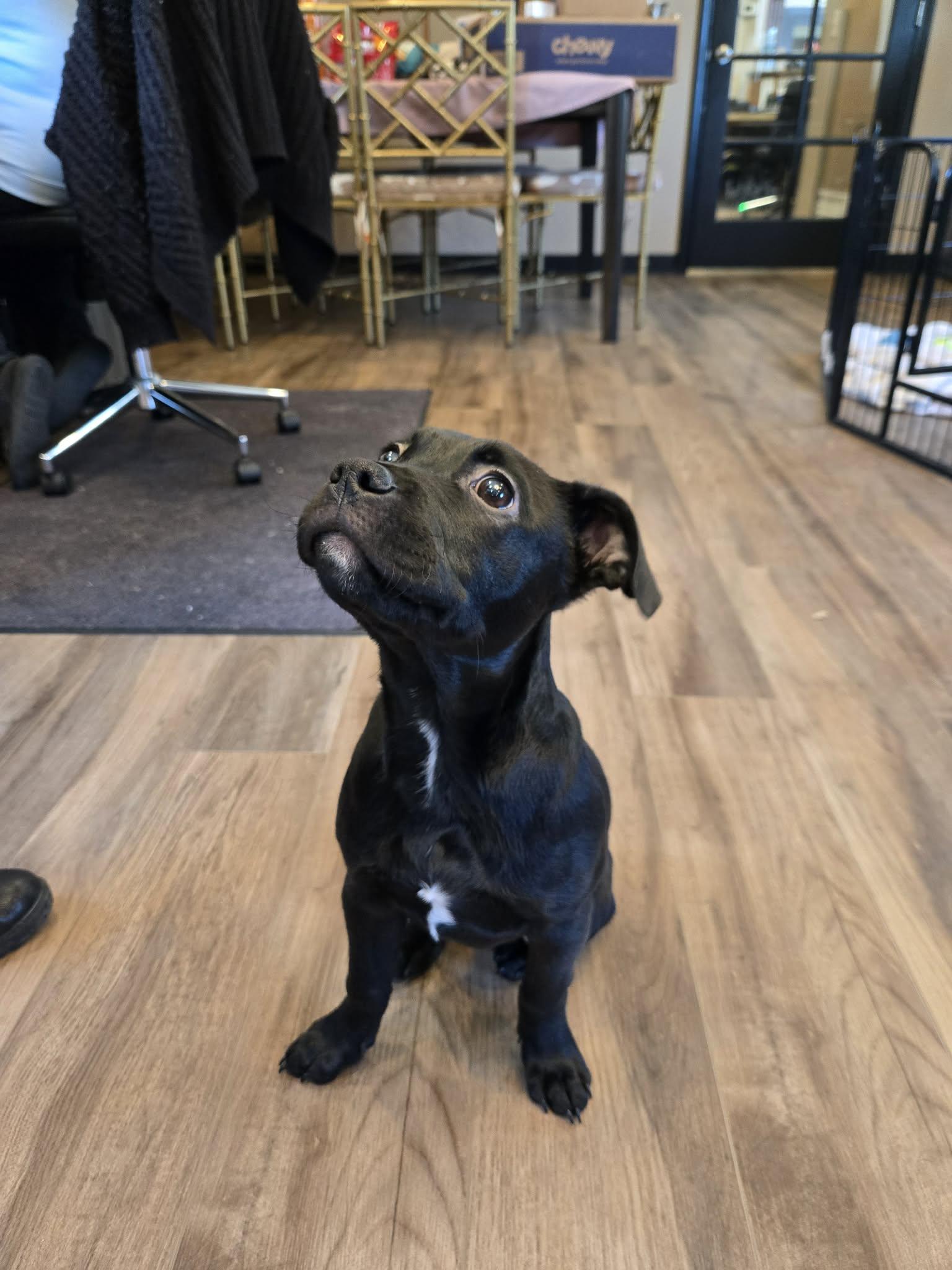 Eileen Toad thumbnail 4