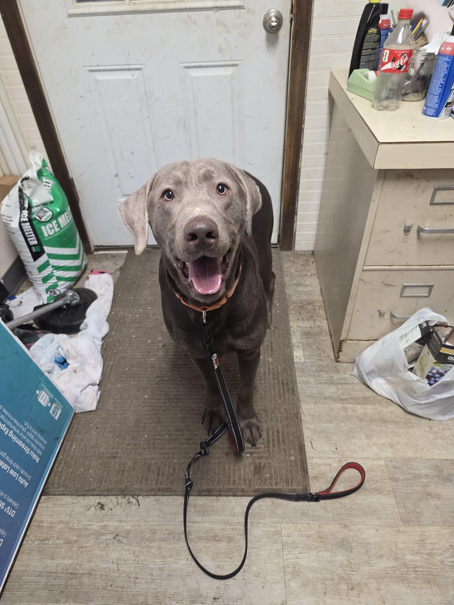 Smokeynot Accepting Applications Yet! thumbnail 2