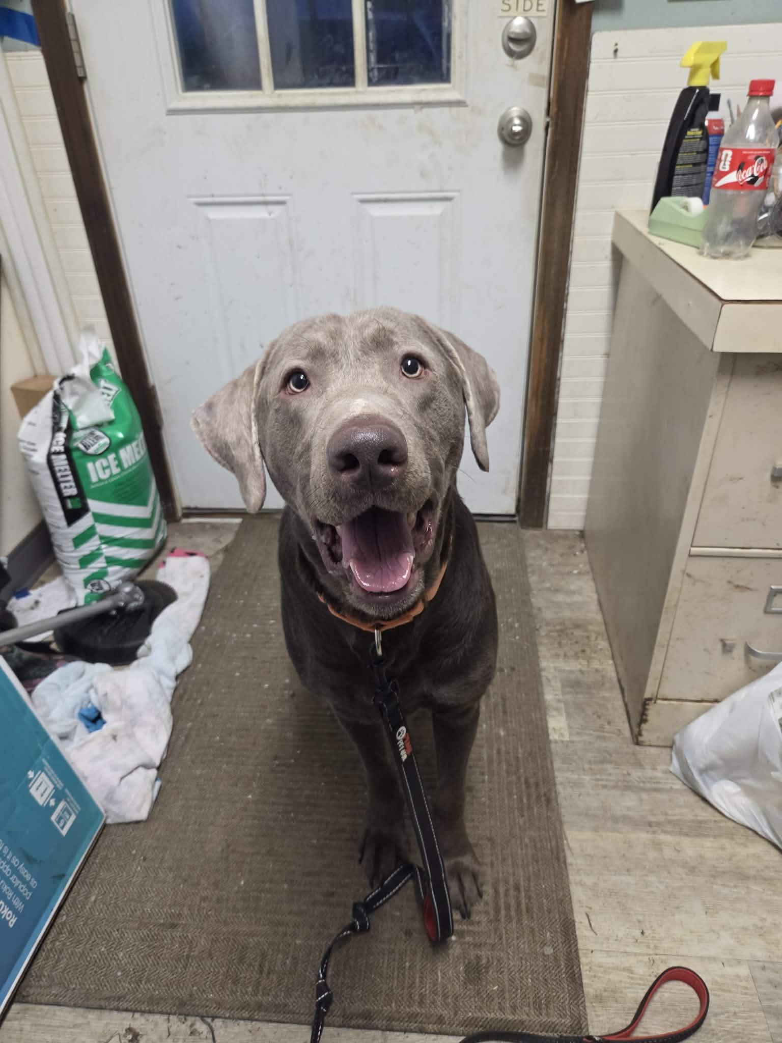 Smokeynot Accepting Applications Yet! thumbnail 3