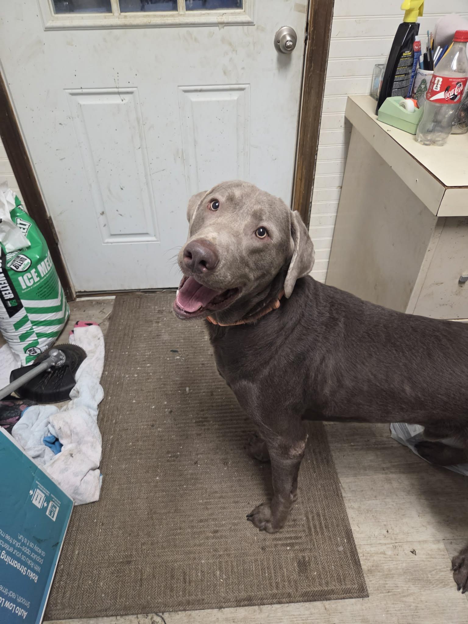 Smokeynot Accepting Applications Yet! thumbnail 4