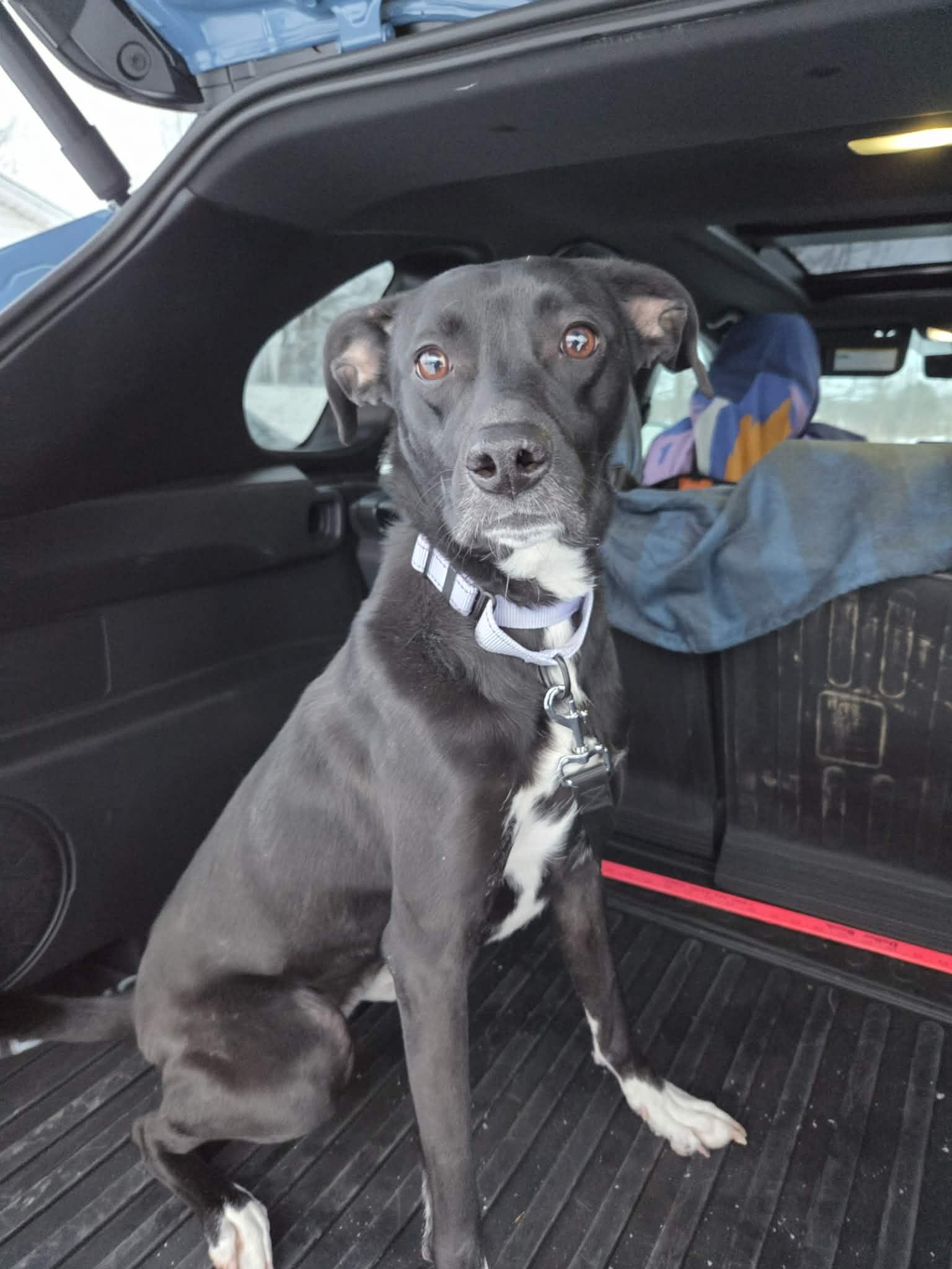 Bindinot Accepting Applications Yet!'s