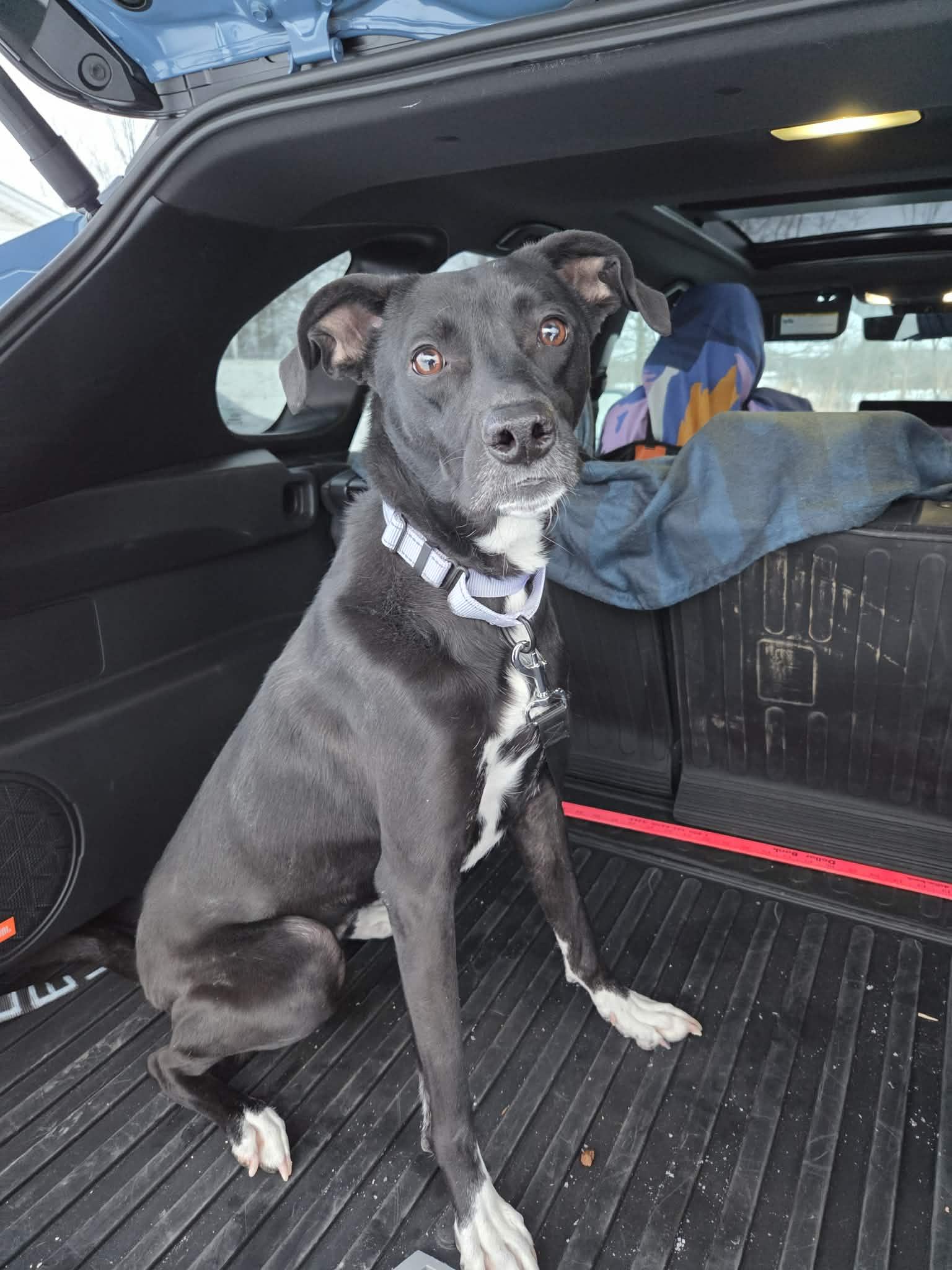 Bindinot Accepting Applications Yet!'s thumbnail 3