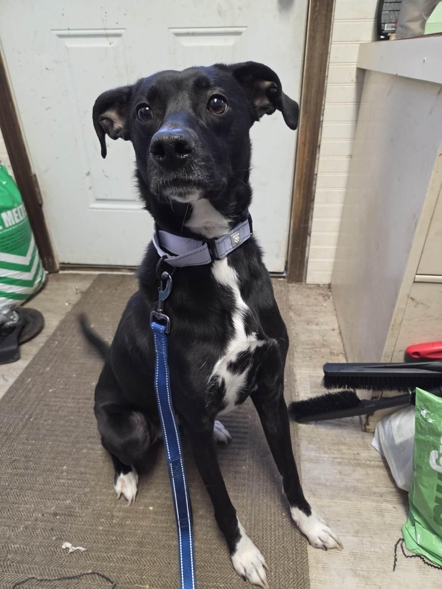 Bindinot Accepting Applications Yet!'s thumbnail 4