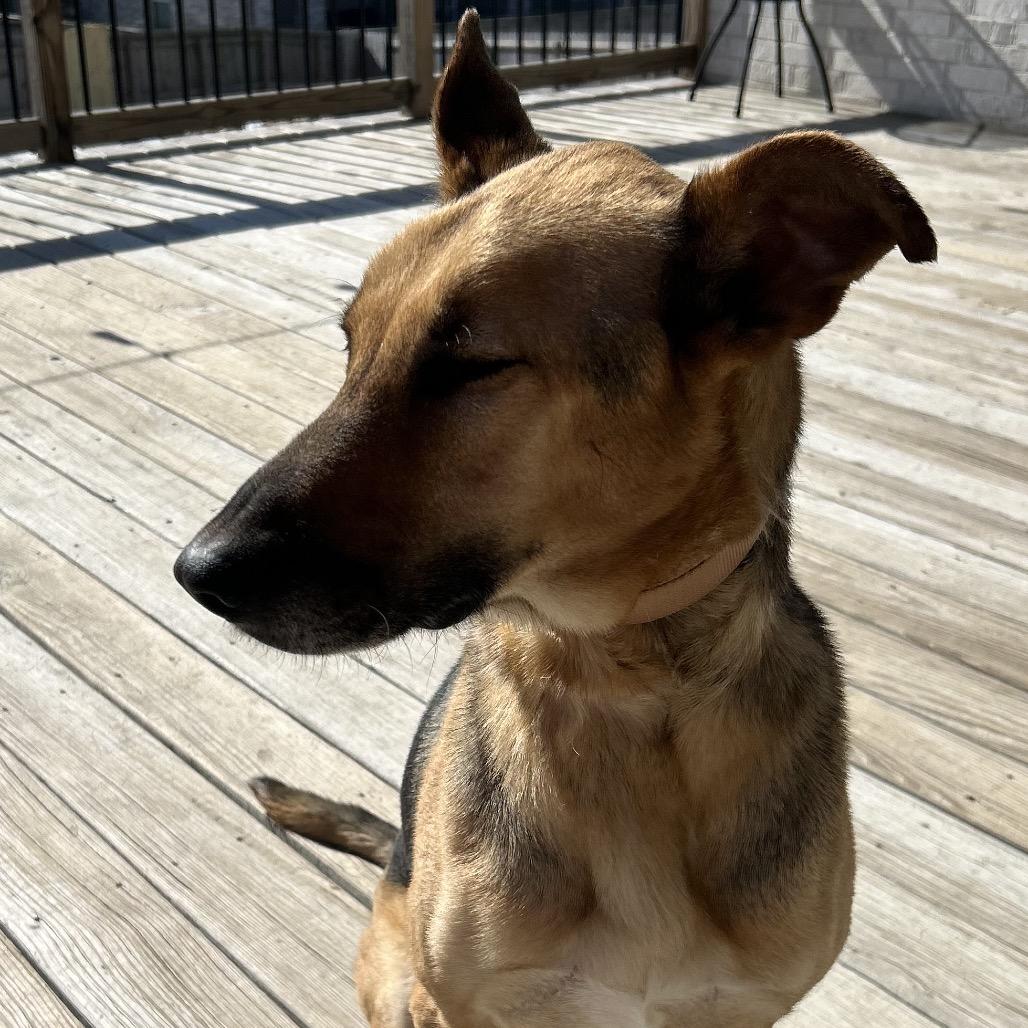 Big River thumbnail 3