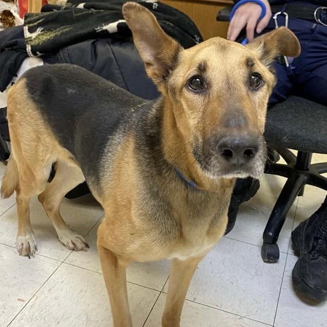 Big River thumbnail 4