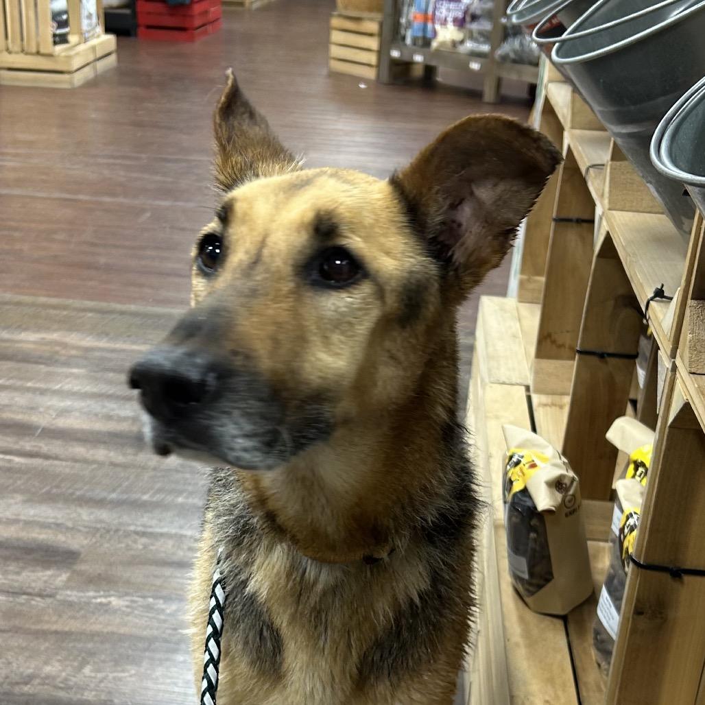 Big River thumbnail 5