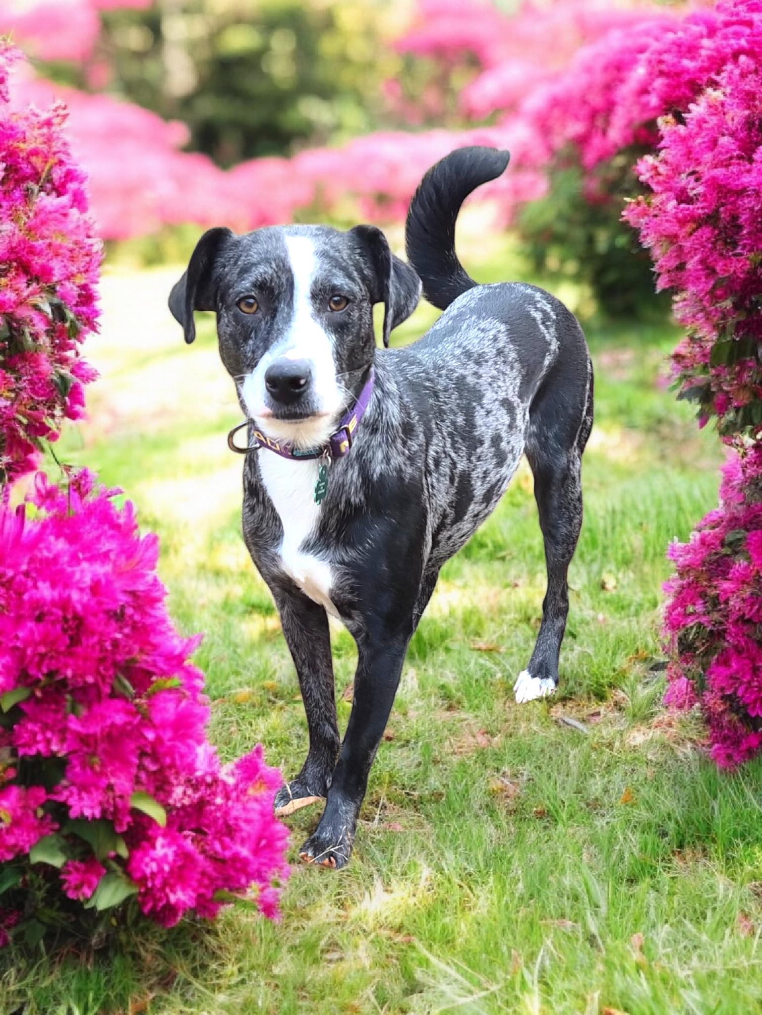 Grizelda thumbnail 2