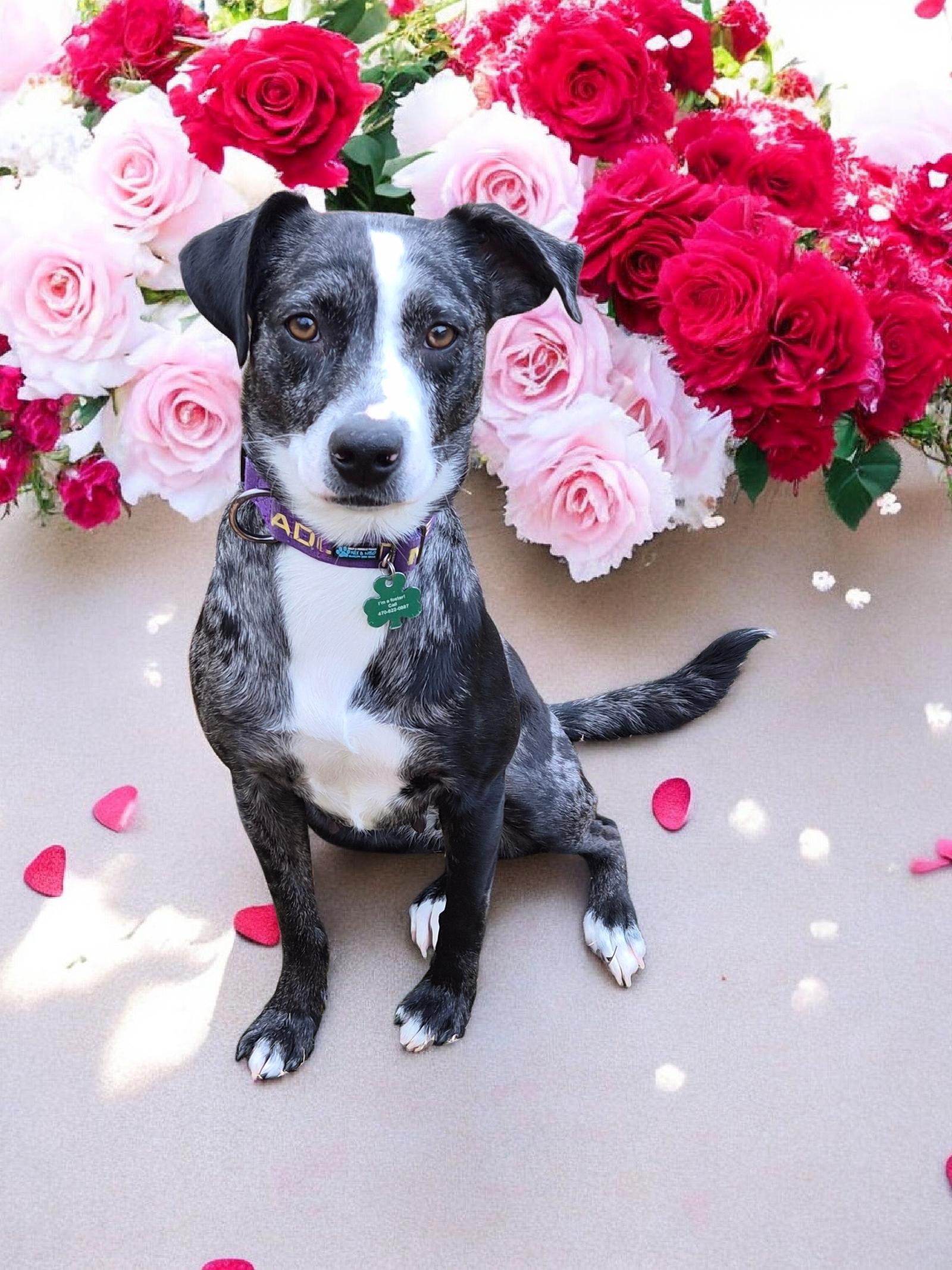 Grizelda thumbnail 3