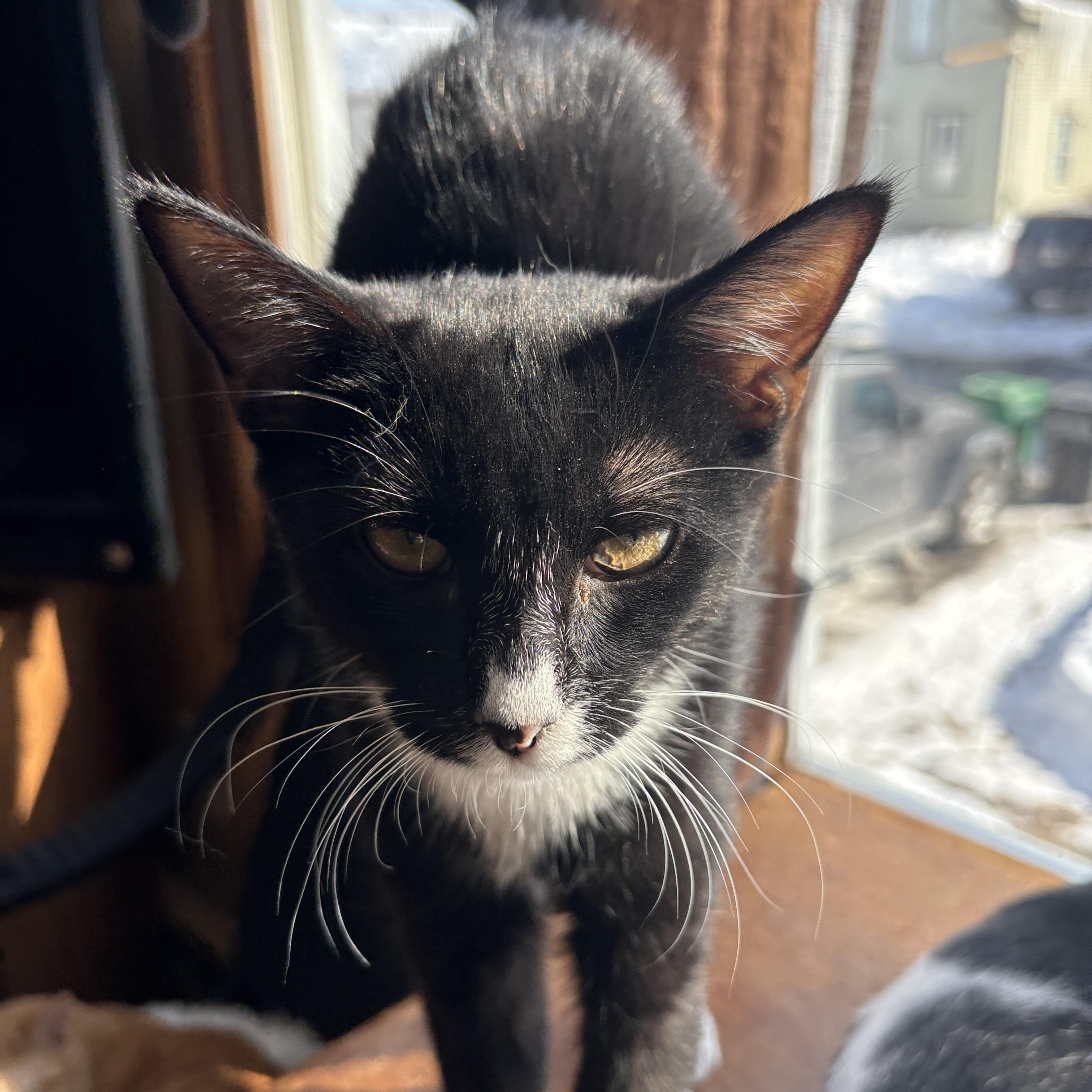 Loveland thumbnail 2